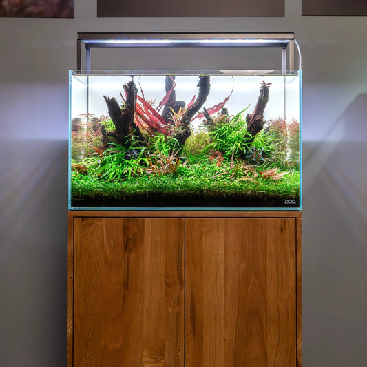 Aquarium Massivholz Unterschrank 60x30cm - Pachi Aquarium