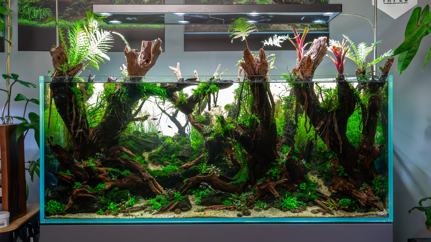 300L Wald Diorama Aquarium